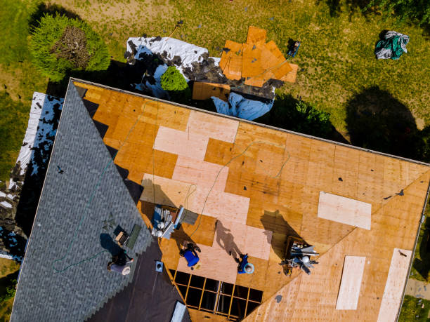 Best Flat Roof Repair Services  in Oakland City, IN